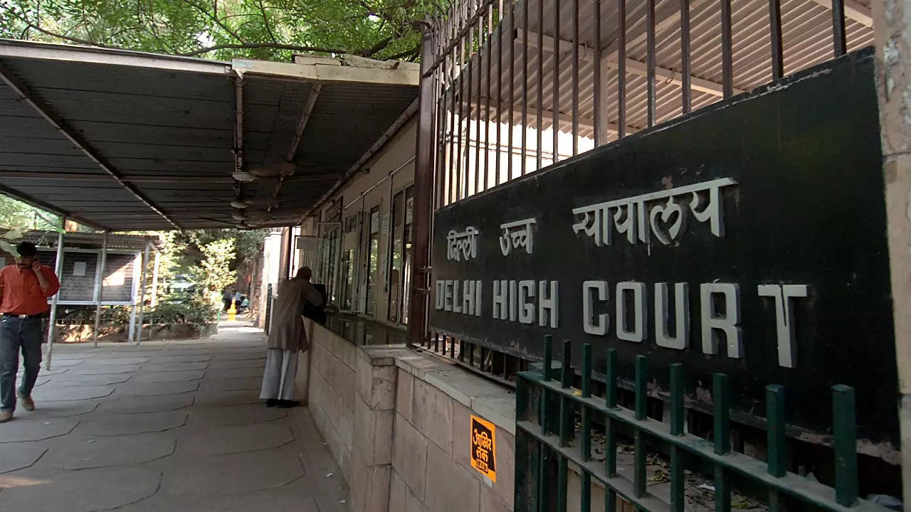 ‘Matter of choice’: Delhi HC refuses to entertain PIL to make voting compulsory