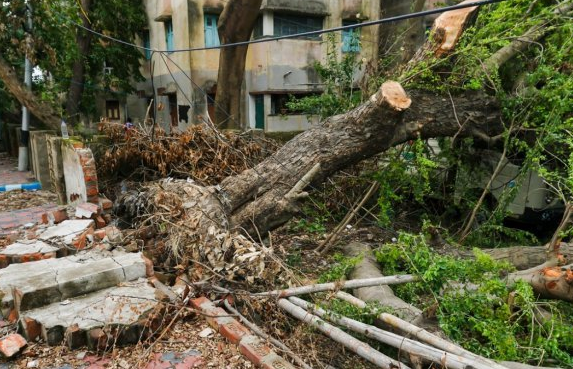 Seven killed, 23 injured after tree falls on tin shed in Maharashtra temple