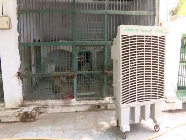 Zoo officials in Ahmedabad install coolers for animals to beat heat