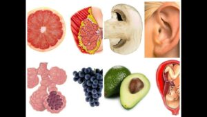 5 Foods that look like  human body parts 