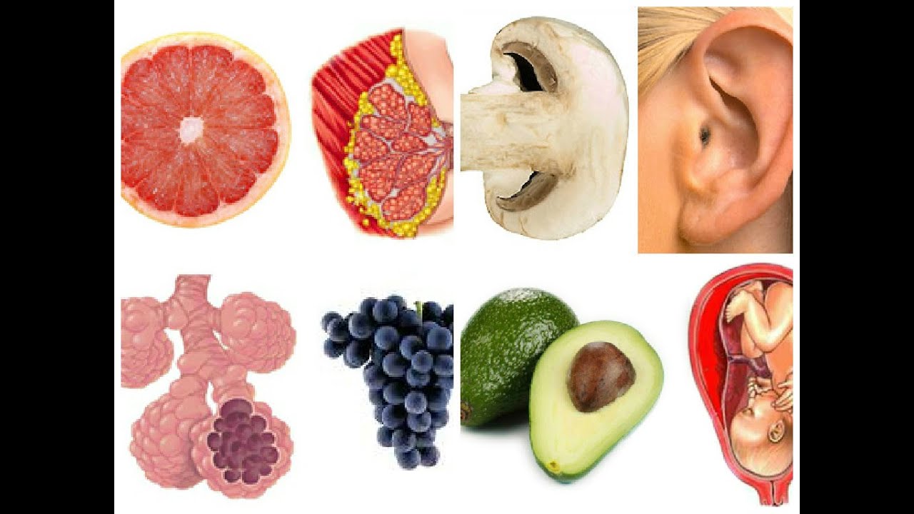 5 Foods That Look Like Human Body Parts TheDailyGuardian