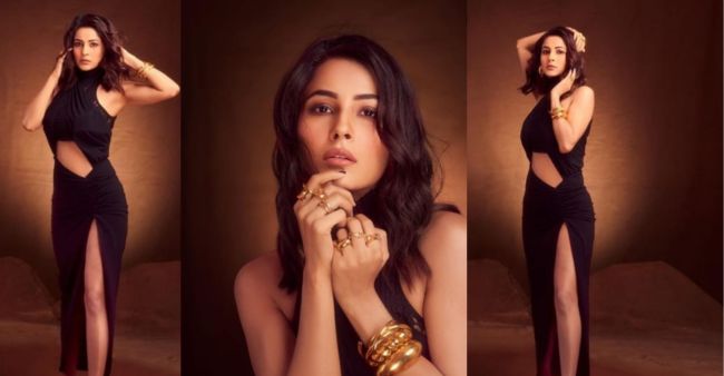Shehnaaz Gill sets internet on fire with sultry photoshoot in black-cutout dress