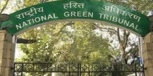 NGT Directed Uttar Pradesh Chief Secretary To Take Action Against Yamuna River Pollution In Agra