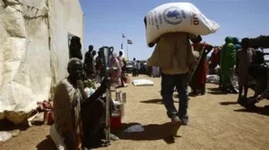 WFP halts aid operations in Sudan after 3 staff killed