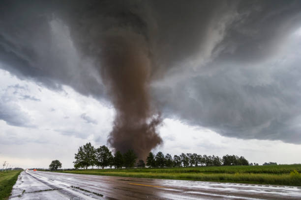 US: Death toll rises to 7 as tornadoes tear through Arkansas, Illinois