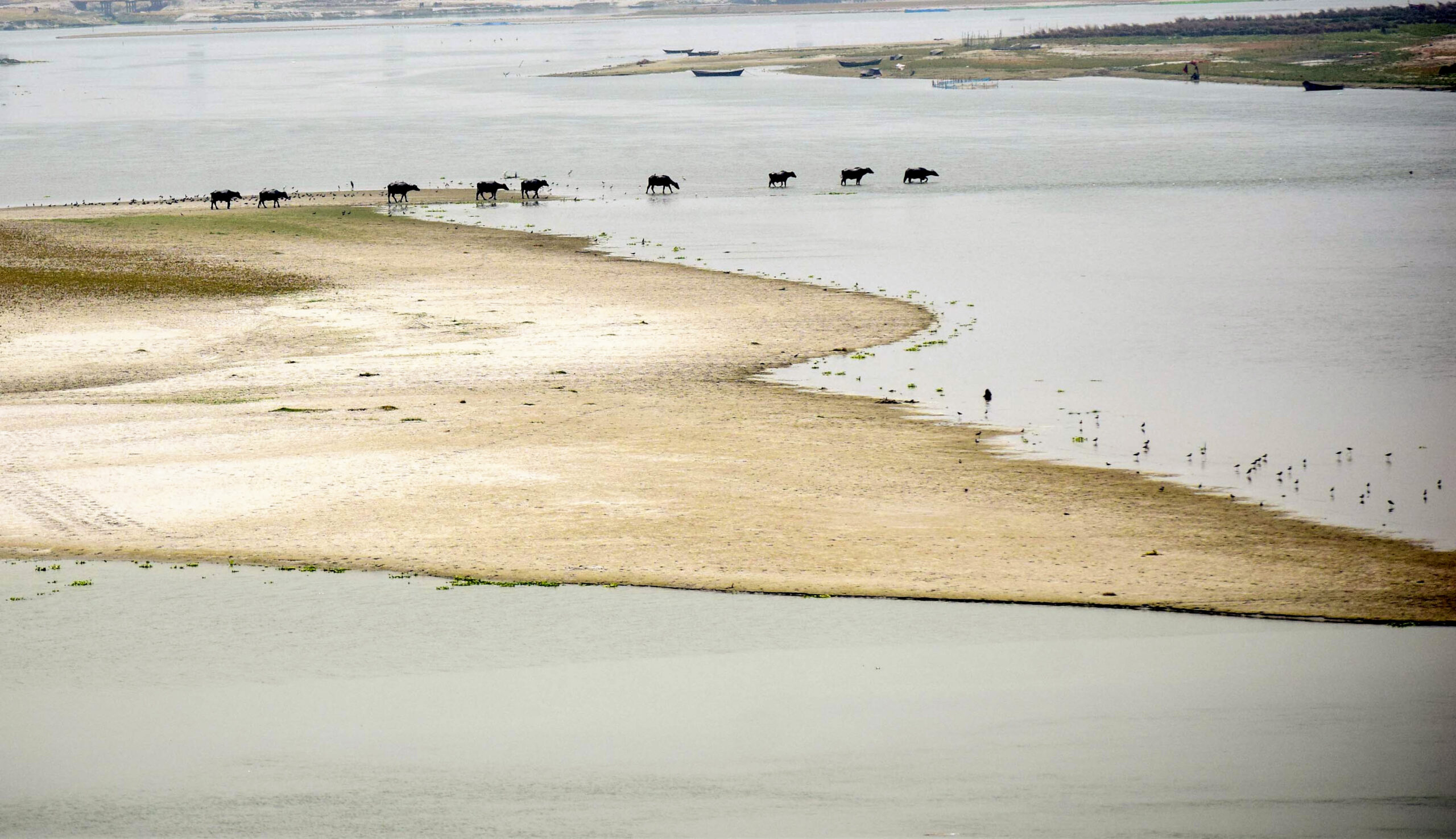 The water level of the Ganga river recedes due to severe rise in the temperature