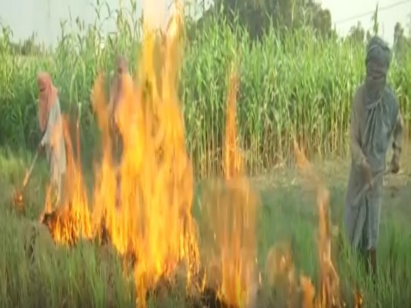Ripper technology in place in  jammu against stubble burning