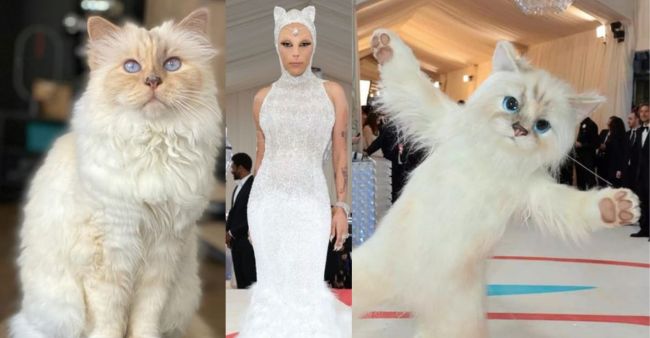 Karl Lagerfeld’s cat Choupette reacts to Jared Leto and Doja Cat’s Met Gala outfits: ‘Do I have a twin somewhere?’