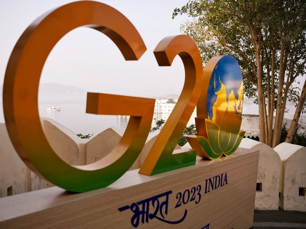 During India’s G20 presidency, African participation increasing