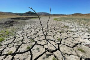 Drought-struck Barcelona quenches thirst with costly desalination