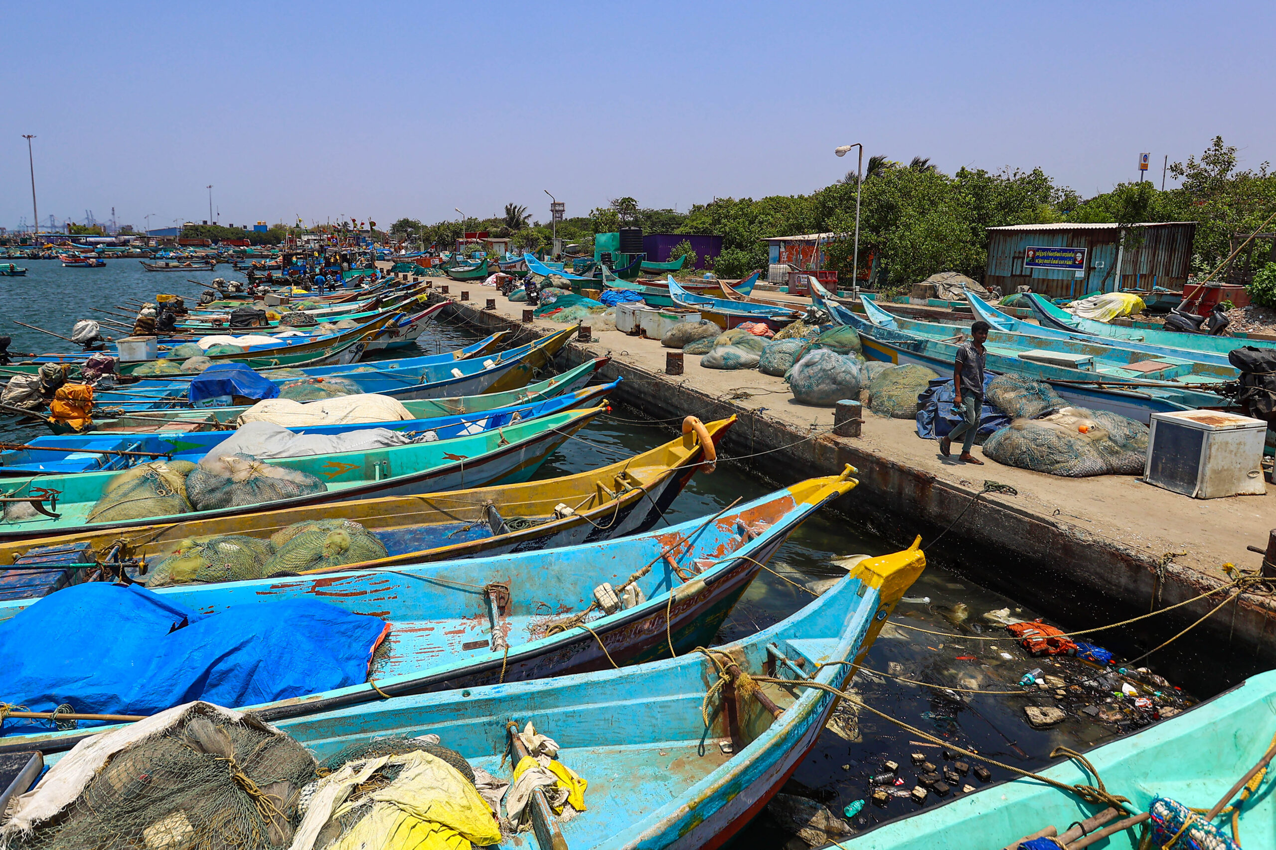 TN: 600 mechanised fishing boats take to sea at Kasimedu harbour after  61-day break