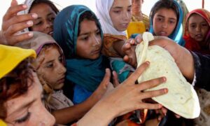 Pakistan, Afghanistan among global food shortage ‘hotspots’