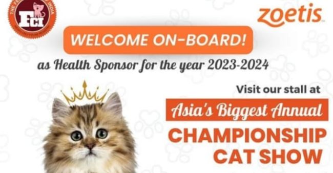 Cat Show Championship To Be Organised In Mumbai: Details Inside