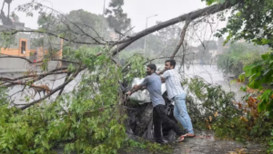 Jamnagar : 119 teams of PGVCL working to restore power supply