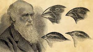 Lessons from Darwin and natural selection