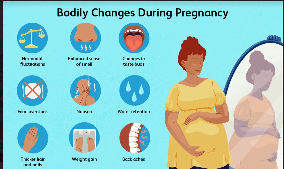 Why do pregnant women need to maintain a healthy gut? Know the details ...