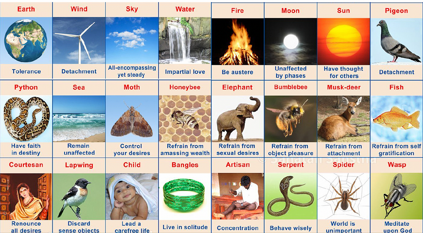 24 Gurus learning from the nature