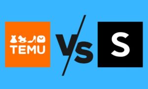 Temu vs. Shein: Chinese e-retailer sparks legal clash with antitrust lawsuit in US