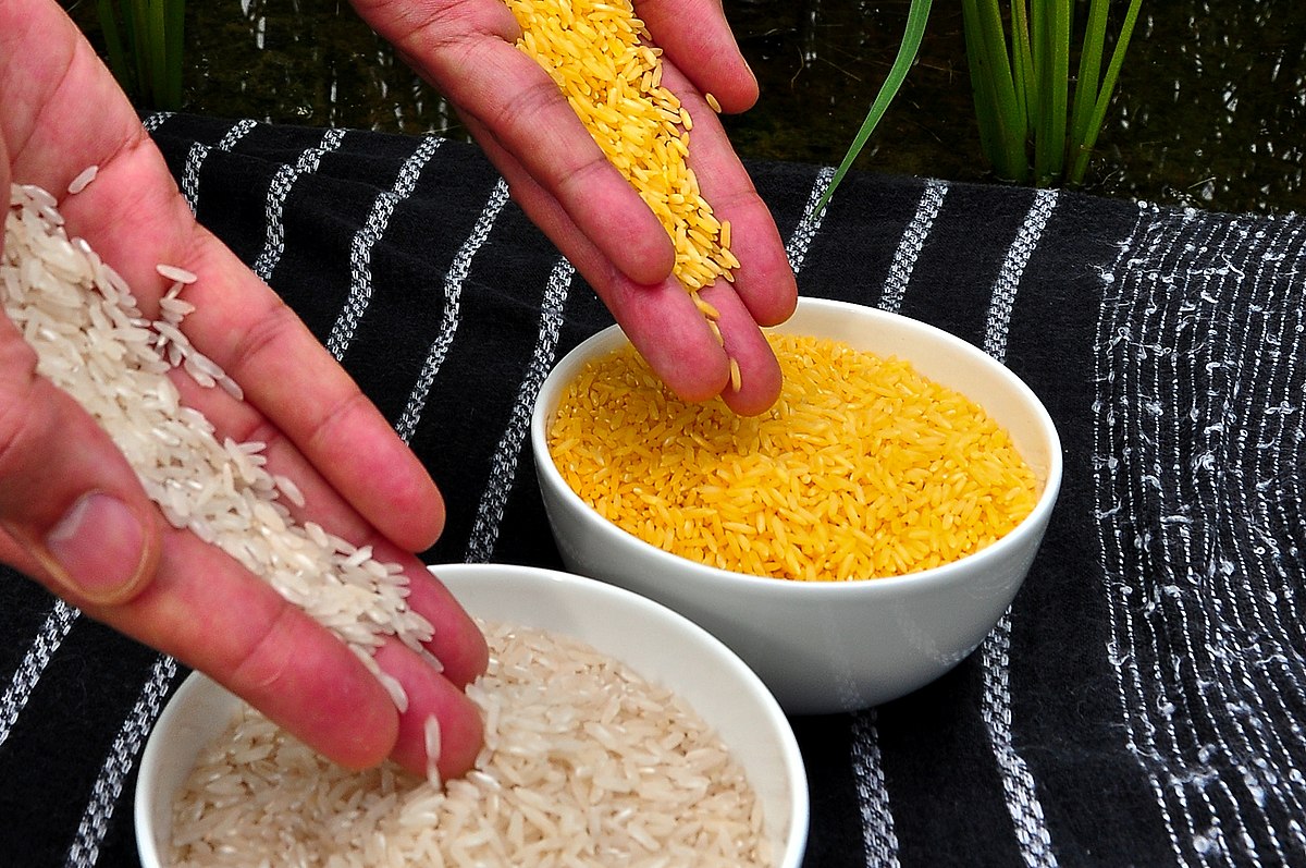 Rice: The Nutrition Source