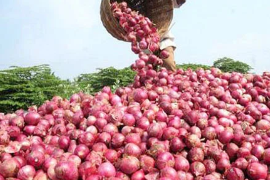 Government sets minimum export price for onions