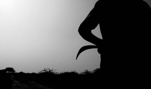 17-year-old Maharashtra boy kills mother with axe, Know the reason
