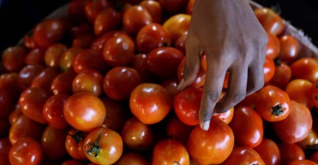Government to import tomatoes as part of controlling Inflation