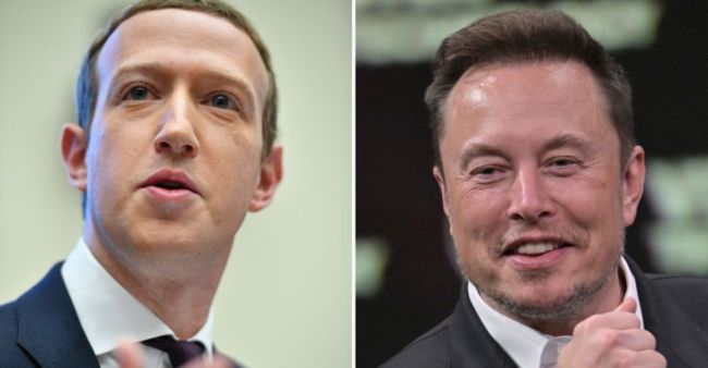 Italy to host Elon Musk and Mark Zuckerberg cage fight?