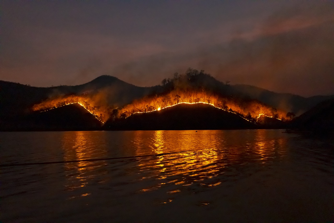 Canada wildfires: British Columbia declares provincial state of emergency