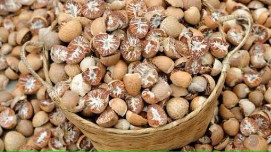 DRI Mumbai seizes areca nuts valued at Rs 32 crores at Jawaharlal Nehru Port