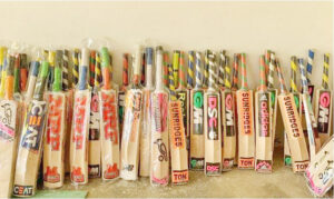 Bat manufacturers in J-K struggle to meet demand amid CWC fever