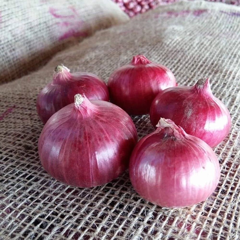 Onion prices set to spike as traders strike