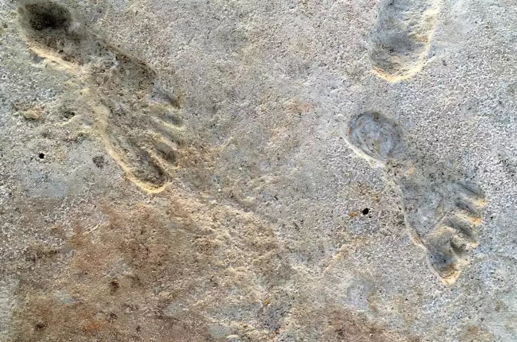 New Mexico footprints give glimpse into ancient American life ...