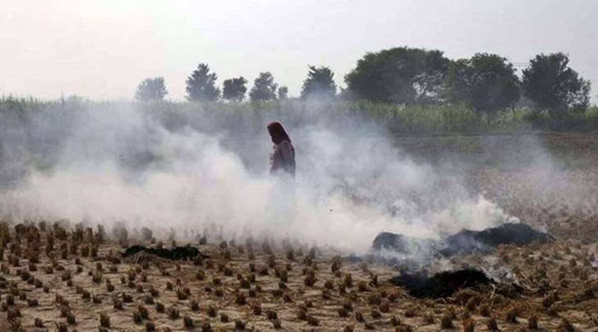 Vijay Sampla questions Arvind Kejriwal over NASA’s paddy straw burning photos