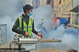 Dengue cases spike in Haryana