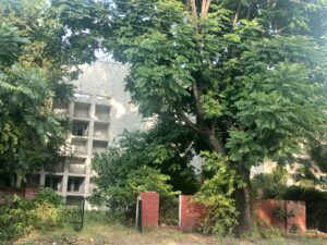 State-Allocated Government Houses in Ruins Due to Neglect