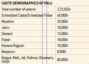 19 seats, 199 candidates: Jaipur gears up for intense assembly battle