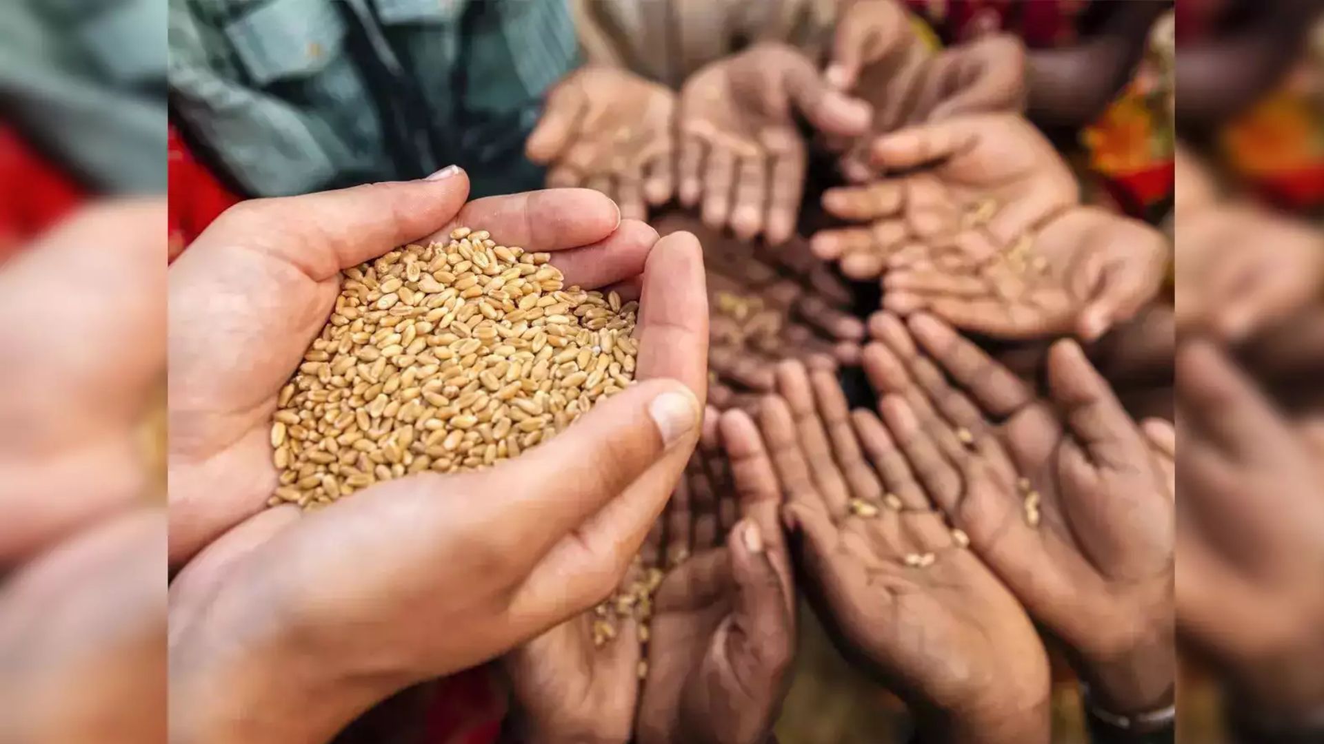 Cabinet approves Garib Kalyan food grain programme for next 5 years