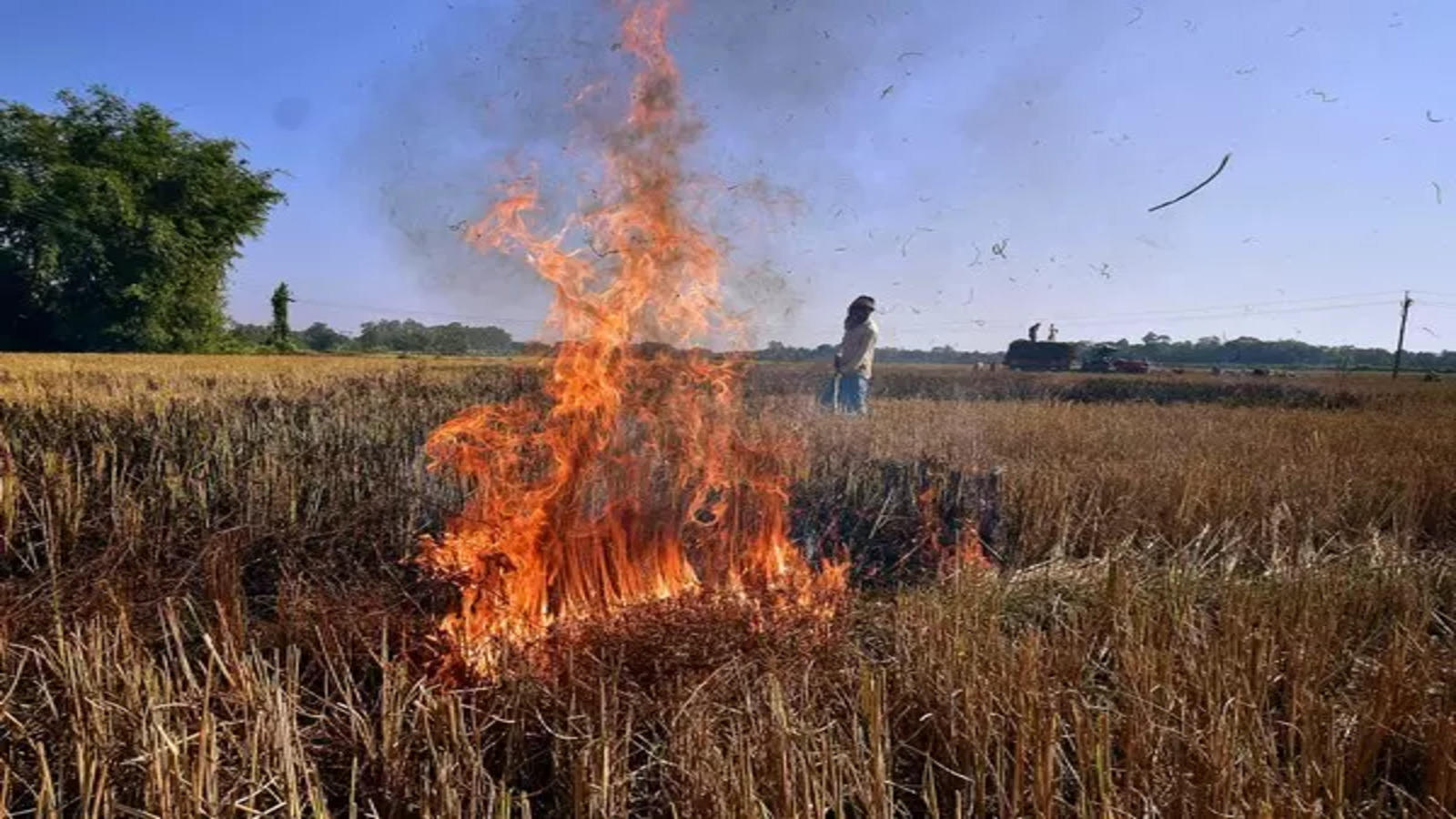 Stubble Burning Surges: Ludhiana Records 560 Cases in 2023