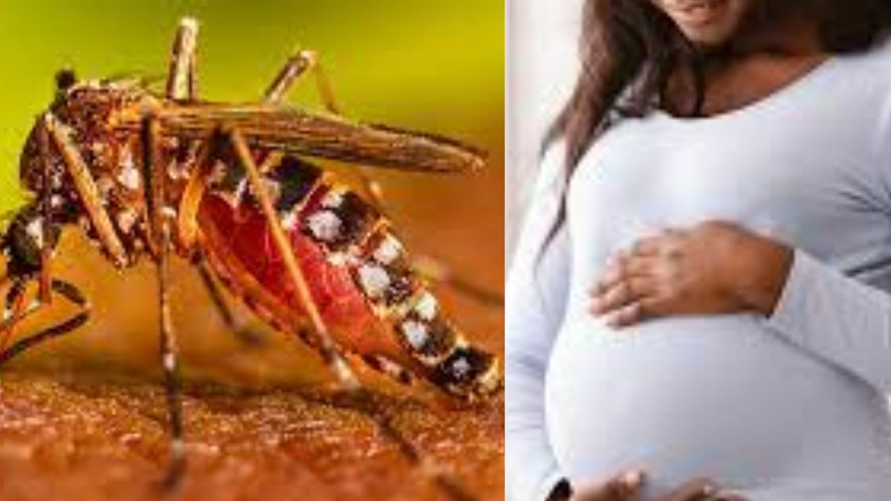 Dengue and pregnancy: Balancing risk and prevention