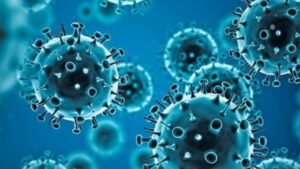 Haryana Government issues alert regarding avian influenza H9N2 virus cases