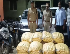 300 kg of marijuana intended for Sri Lanka found, 8 people detained