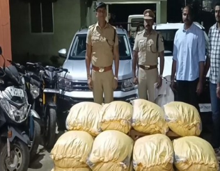 300 kg of marijuana intended for Sri Lanka found, 8 people detained