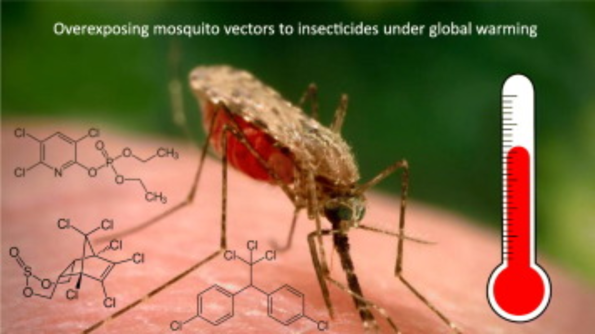 An increase of mosquitoes due to warmer temperatures brought on by climate change