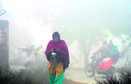 Visibility dips as dense fog blankets Haryana, traffic crippled