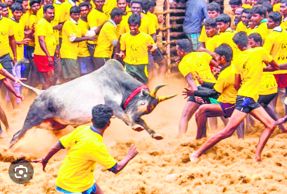 Not BJP, but Congress banned jallikattu, Annamalai slams MK Stalin