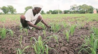 Budget 2024: Maharashtra farmers plead for crop damage compensation and policy review