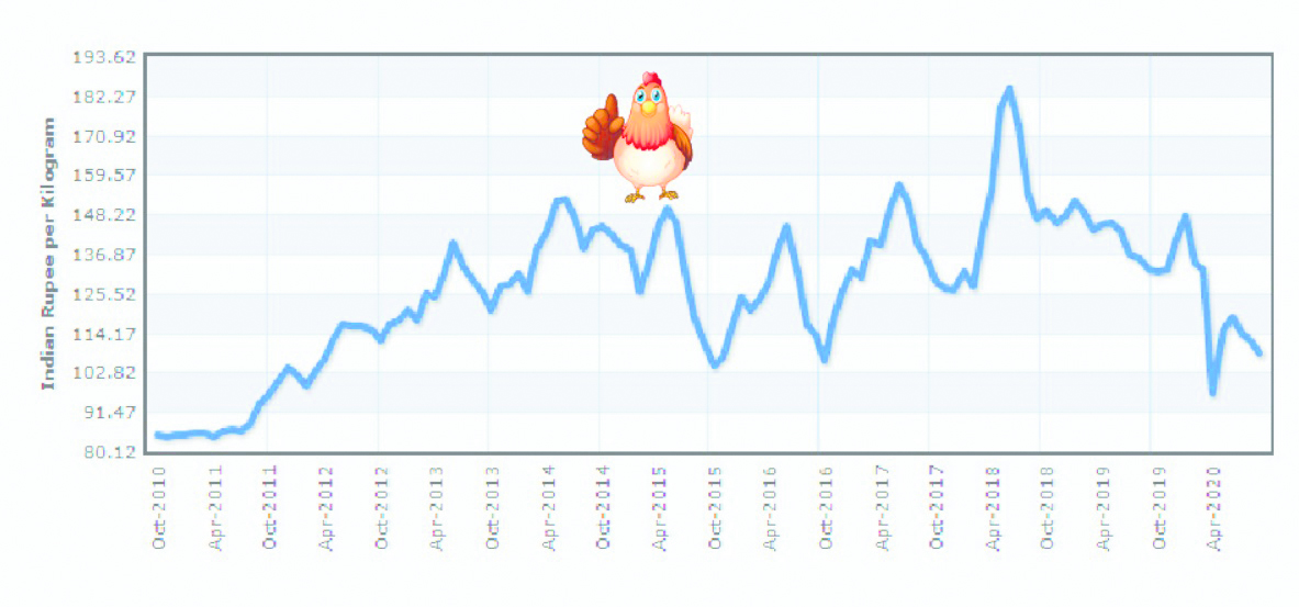 Indian poultry sector anticipates strong  8-10% revenue surgea in FY24