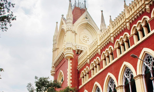 Calcutta High Court: Addressing Unknown Lady As ‘Darling’ Is Patently Offensive, Amounts To Using Sexually Coloured Remark