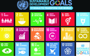 Global financial reforms are must to achieve SDG targets