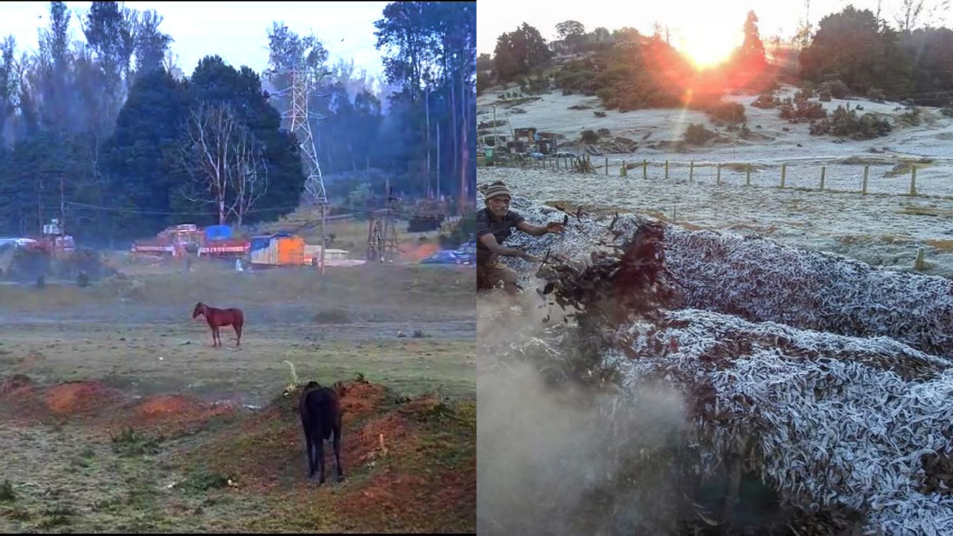Tamil Nadu’s Ooty turns into iceland as minimum temperature drops
